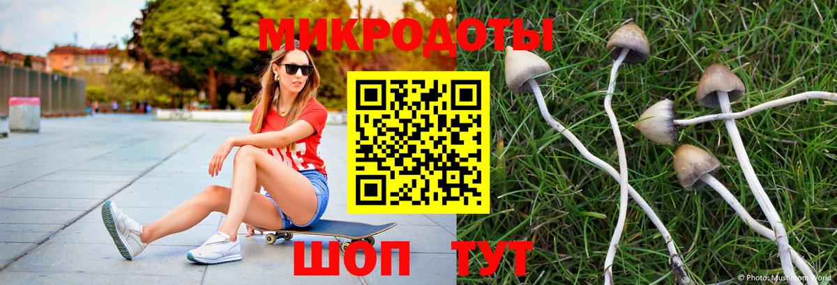 Галлюциногенные грибы мухоморы Губкинский