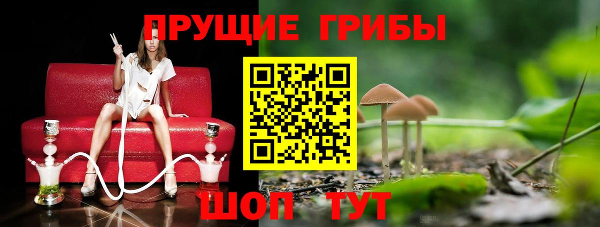 Псилоцибиновые грибы Cubensis  Вход с VPN  Губкинский 